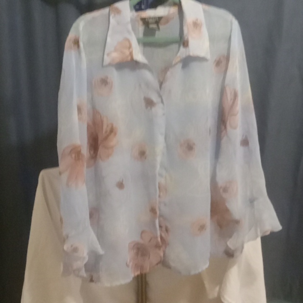 Sheer blouse